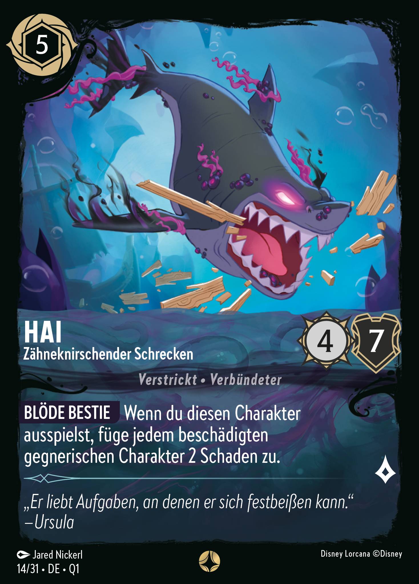 Hai