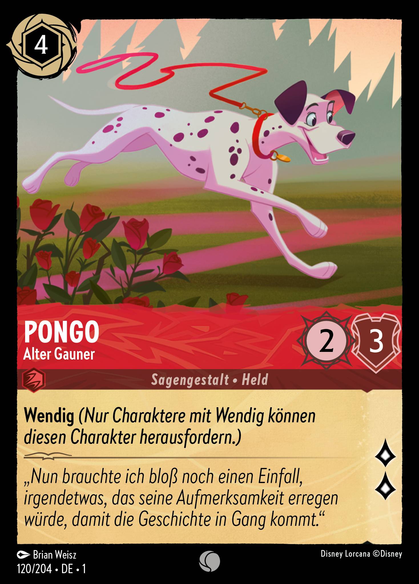 Pongo