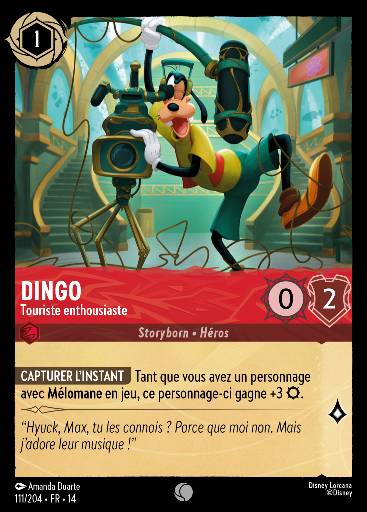 Dingo - Touriste enthousiaste