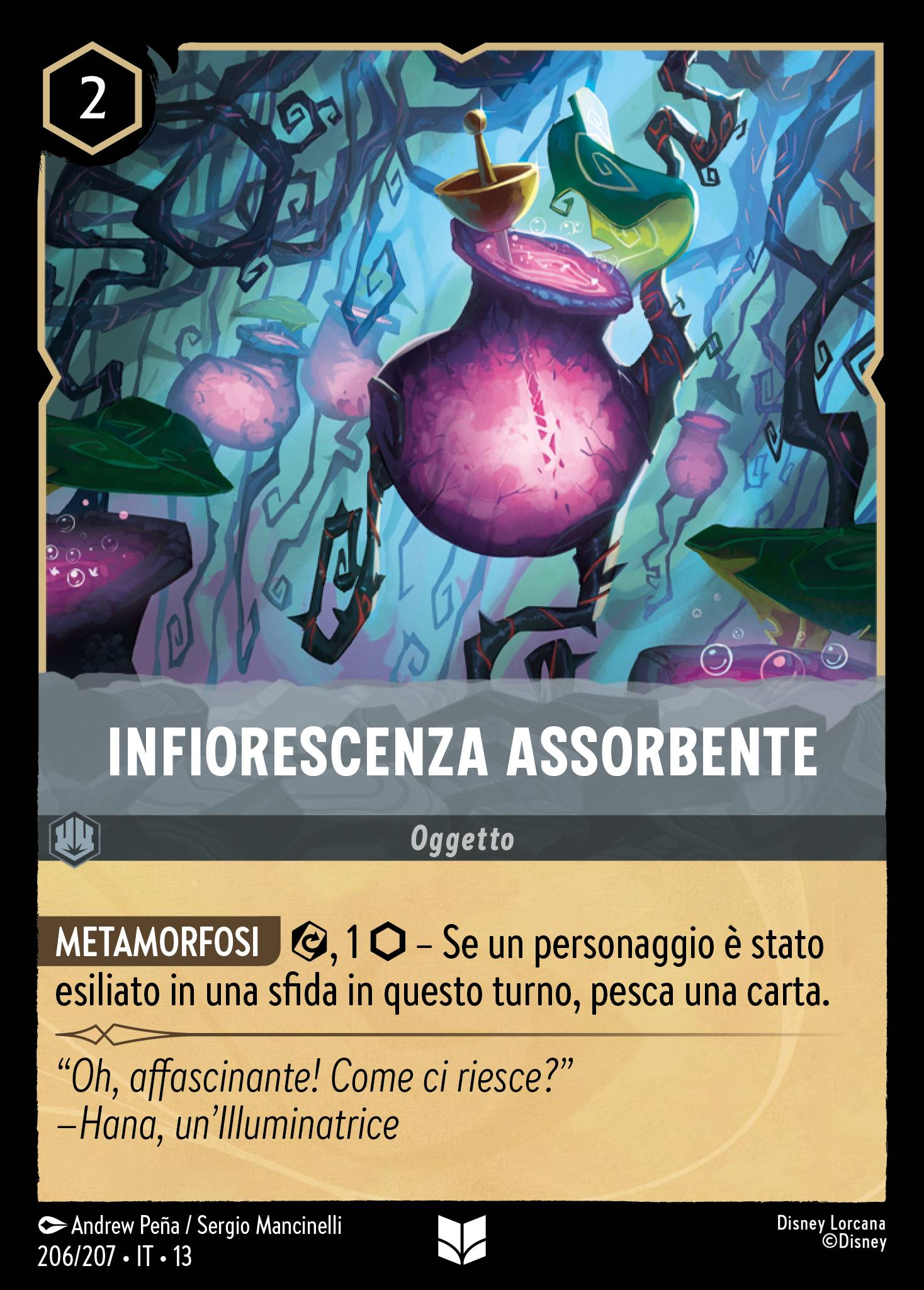 Infiorescenza Assorbente